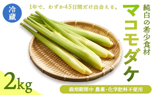 マコモダケ 2kg | 綾部市産 マコモダケ 栽培期間中農薬不使用 選べる容量