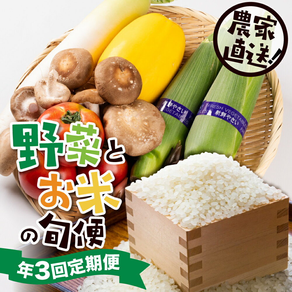 【ふるさと納税】[定期便]郡上の旬野菜とお米（年3回） 季節の野菜 / 食品 野菜 セット 詰め合わせ 25000円