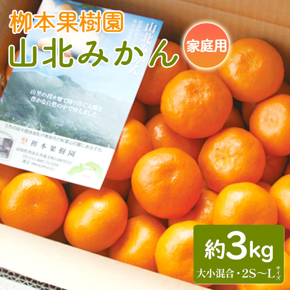 家庭用 柳本果樹園の山北みかん 3kg 大小混合(2S～L) - 果物 フルーツ 柑橘類 温州みかん ミカン 蜜柑 甘い おいしい 訳あり キズ 大小混合 送料無料 期間限定 季節限定 数量限定 高知県 香南市 yg-0012