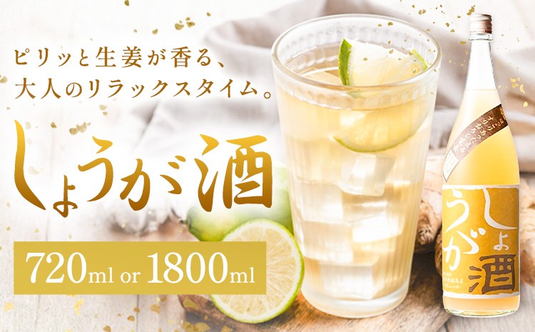 
                  酒 しょうが酒 生姜 お酒 選べる 720ml or 1.8L 酒のねごろっく《2025年11月上旬-4月末頃に出荷予定(土日祝除く)》和歌山県 岩出市 お酒 さけ アルコール しょうが 日本酒 お取り寄せ
                