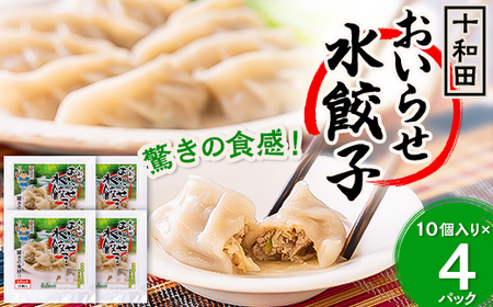 驚きの食感!十和田おいらせ水餃子【配送不可地域：離島】【1027373】