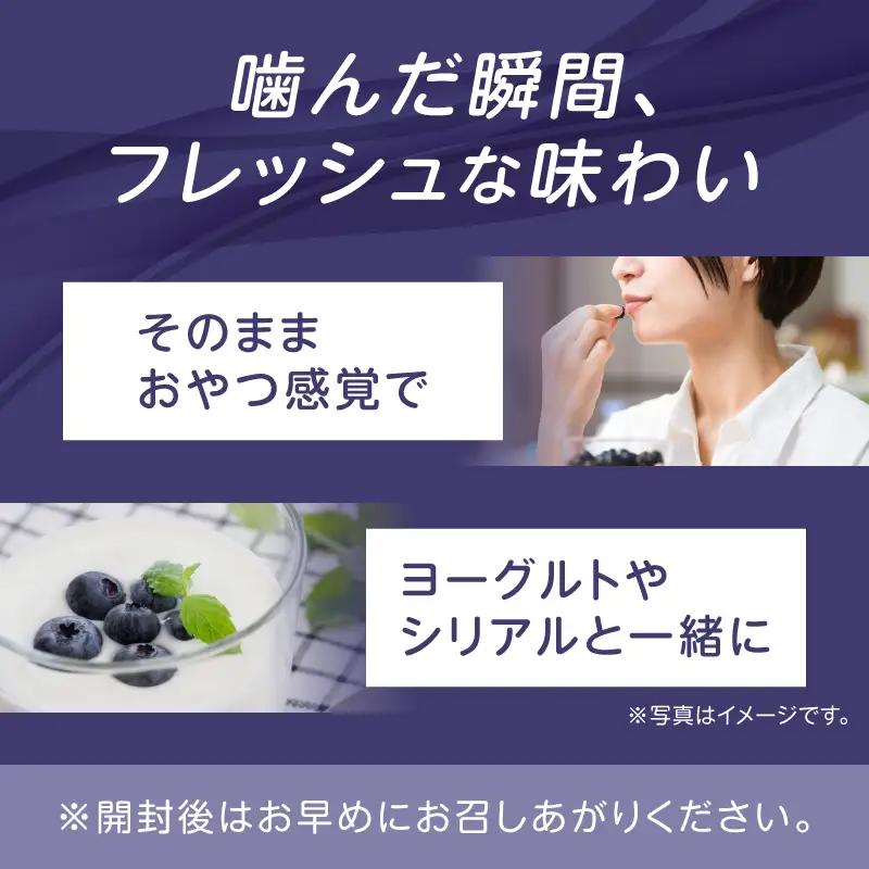 冷凍 ブルーベリー 大粒 ベリー 1,000g [h290]