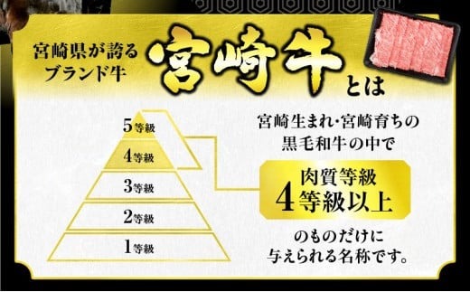 【令和8年7月配送】数量限定 宮崎牛 霜降り 焼肉 計500g 肉質等級4等級以上 牛肉 黒毛和牛 国産 食品 おかず 最高級 ブランド牛 焼き肉 BBQ バーベキュー キャンプ 人気 おすすめ 記念