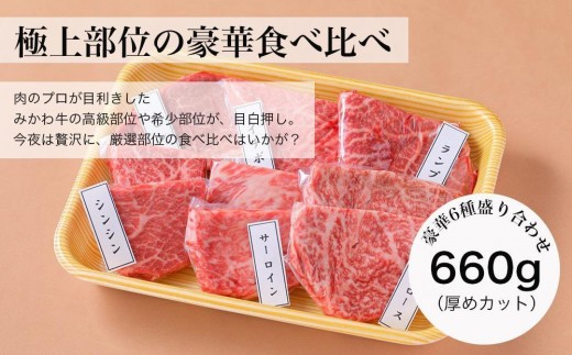 【みかわ牛】肉屋 厳選 極上部位 6種 660ｇ