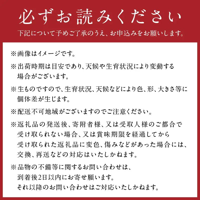 梨 【先行予約／数量限定600】20世紀梨（秀品） 5kg（10～16玉）（2026年8月下旬～発送）フルーツ 果物 梨 なし ナシ 20世紀梨 二十世紀梨 贈答向け