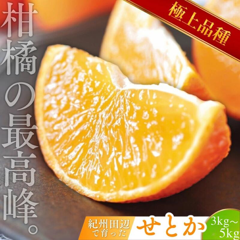 【ふるさと納税】 ＼数量限定／ 露地栽培のせとか 【選べる容量】 3kg 5kg （順次出荷可能です） / 柑橘の大トロ 高級 ブランド 希少 品種 和歌山蜜柑 和歌山ミカン 高級みかん 人気みかん みかんランキング 果物 くだもの フルーツ 柑橘 蜜柑 産地直送 国産 和歌山