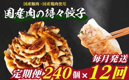訳あり 国産肉の得々餃子 240個 定期便 毎月12回 餃子 ギョウザ IB