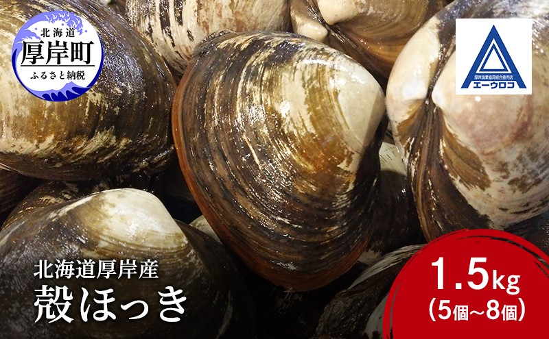 
                  新鮮 北海道 厚岸産 殻ほっき 1.5kg (5個～8個) [ ホッキ 北寄 貝 産地直送 魚介類 バーべキュー ][№5863-1552]
                