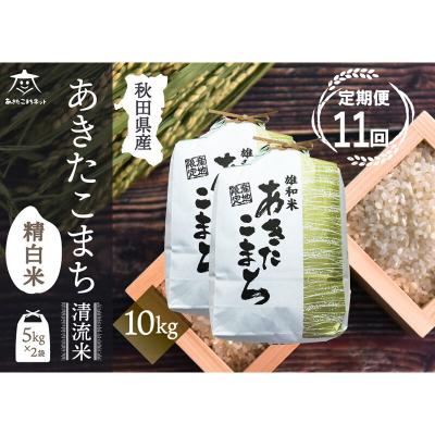 ふるさと納税 秋田市 《定期便11ヶ月》秋田市雄和産あきたこまち 清流米 10kg|15_akn-dd1011h