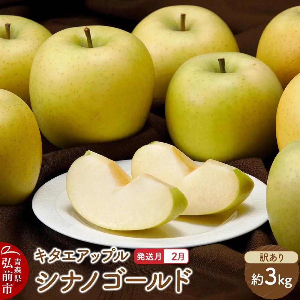 【27年2月発送】りんご シナノゴールド【訳あり】約3kg キタエアップル 先行受付 家庭用 青森県 弘前市 果物 フルーツ 林檎 リンゴ くだもの 不揃い 規格外 青森県 弘前市