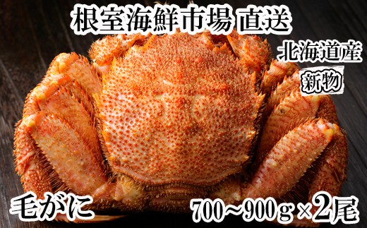 D-28055【年内配送可】 根室海鮮市場＜直送＞ボイル毛がに700～900g×2尾