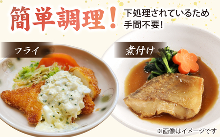 【日本海鮮魚】漁師厳選鮮魚真空冷凍セット約3.5g～4.0kg(5種以上)  | 魚 詰め合わせ 新鮮 煮物 焼き物 お造り 刺身 晩酌 食卓 BBQ 急速冷凍 真空パック 鮮魚セット 詰合せ 鮮魚店