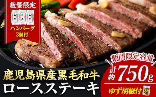 
            ＜14営業日以内に発送！＞＜3枚・計約750g＋ハンバーグ3個＞4等級以上！鹿児島県産黒毛和牛ロースステーキ3枚セット 黒毛和牛 ステーキ 冷凍【ナンチク】B1-02-v04
          