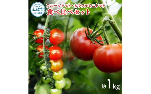 【先行予約】フルーツトマト＆カラフルミニトマト食べ比べセット約1kg / 15品種から厳選〈2027年1月下旬から順次発送〉トマト フルーツトマト ミニトマト 詰め合わせ セット 新鮮野菜 ふるーつとまと フルーツミニトマト カラフル トマト とまと 美味しい 高知県 土佐市【ファーム輝】 [BQBM003]