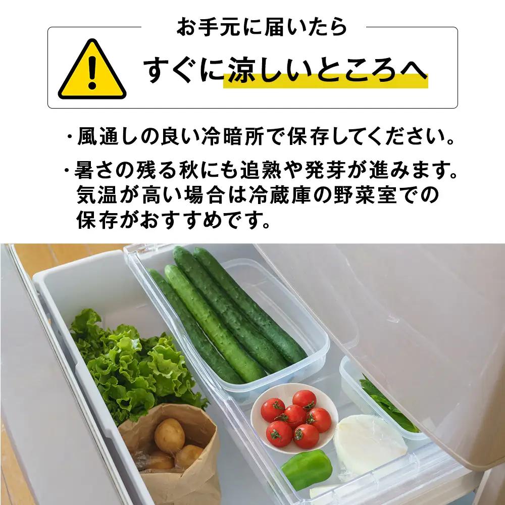 【2026年10月上旬以降順次発送】秋野菜 詰め合わせ 6種 計5kg　サツマイモ かぼちゃ じゃがいも にんじん 他おたのしみ
