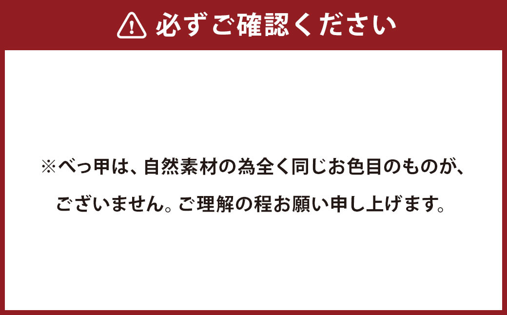 【限定2】本べっ甲アイスクリームスプーンセット ／ 食器 カトラリー 鼈甲 べっこう べっ甲 スプーン 長崎県 長崎市
