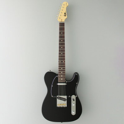 【ふるさと納税】エレキギター FGN NTE100RAL-BK【1438633】
