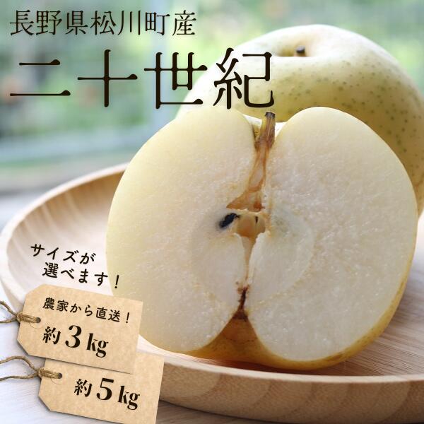 【ふるさと納税】＊2025先行＊ 梨 二十世紀 約3kg or 約5kg ／2025年9月中旬頃配送～ 長野県 松川町産 贈答 和梨 20世紀梨 20世紀梨 3kg 5kg KW02 KW04