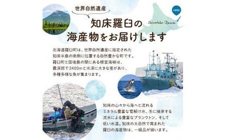 刺身用帆立2kg ほたて ホタテ 貝柱 貝 刺身 海鮮丼 米 羅臼町 北海道 海鮮 セット 生産者 支援 応援 F