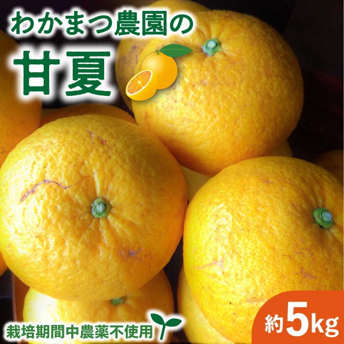 【ふるさと納税】【有機栽培】【先行予約】甘夏 5kg 栽培期間中 農薬不使用 【2025年5月中旬ごろ順次発送】糸島市 / わかまつ農園 [AHB050] 12000円 果物 フルーツ