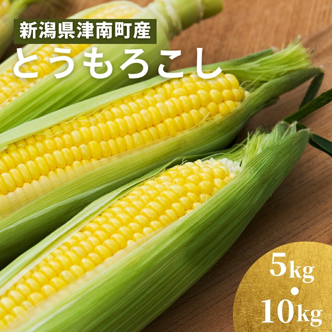 【ふるさと納税】とうもろこし 極 スイートコーン 5kg 約12本 10kg 約24本 朝採り ゴールドラッシュ 新潟県 津南町 野菜 コーン 2025年7月下旬以降発送