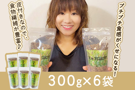 ＜皮付きもち麦(ダイシモチ）300g×6袋＞翌月末迄に順次出荷【 むぎ ムギ 穀物 食物繊維 プチプチ 食感 プチプチ食感 】【a0241_mw】