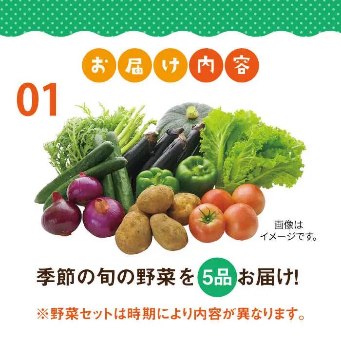 壱岐産 つや姫 5kg・旬の野菜 5品[JBO003] 野菜 米