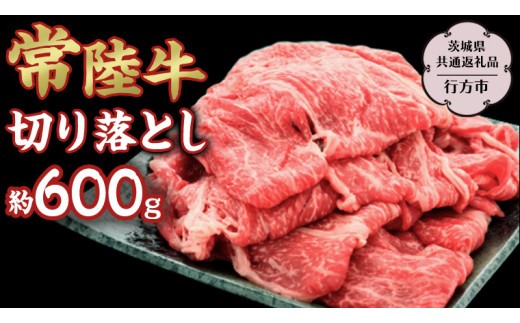 
                  常陸牛切り落とし約600g 【茨城県共通返礼品】 常陸牛 ブランド牛 [DS013sa]	
                