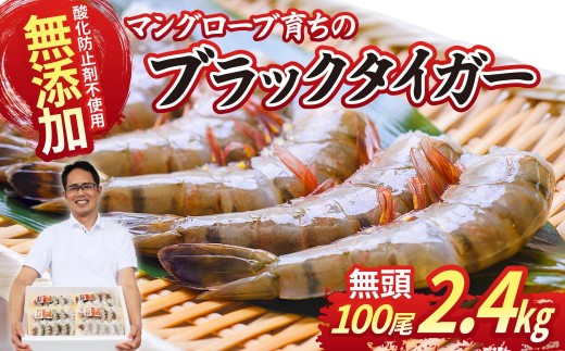 ブラックタイガー海老 10尾10パック(計2400g程度) | 海老 エビ えび ブラックタイガー ぶらっくたいがー 海産物 冷凍 おすすめ 茨城県 ひたちなか市