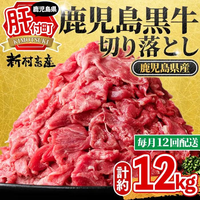 ＜定期便・全12回・連続月＞鹿児島黒牛 切り落とし(計約12kg・約500g×2P×12回) 鹿児島 国産 九州産 鹿児島県産 黒毛和牛 国産牛 牛肉 切り落し 切落とし 切落し お肉 冷凍 小分け すきやき すき焼き 牛すき 牛丼 カレー 肉じゃが 炒め物 【新村畜産】F01001