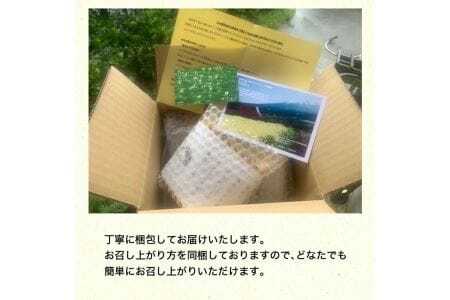 610　無添加　親鳥の煮込み「ばんばどり」　200ｇ×3袋　計600ｇ