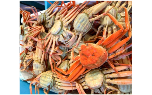 【魚倉】ボイルお任せセコガニ1kgセット｜国産 ズワイガニ 松葉ガニ カニ 蟹 かに ボイル カニ鍋 かに鍋 鍋 かにしゃぶ かにみそ 期間限定 送料無料 鳥取県 三朝町