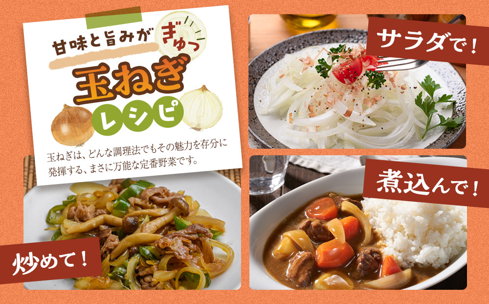 【先行予約】農家直送 低農薬 旭川産 玉ねぎＬサイズ20kg(2026年9月発送開始予定)_05935