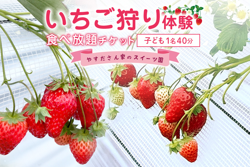 やすださん家のスイーツ園 いちご食べ放題 子ども1名（4歳以上小学生以下）40分食べ放題チケット イチゴ 苺 いちご いちご狩り 食べ放題 フルーツ 果物 フルーツ狩り チケット 体験 茨城県 19-H