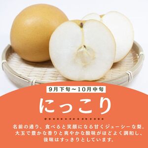 栃木県産梨 にっこり 3kg 【栃木県共通返礼品 (宇都宮市産) 】