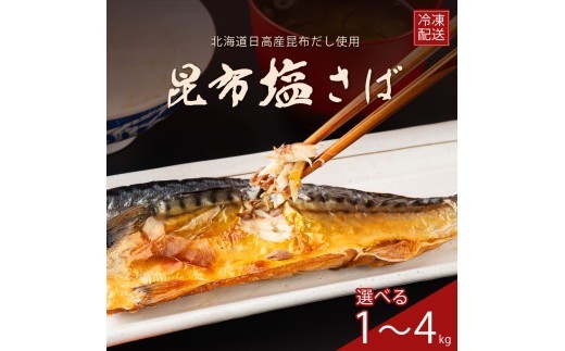 
                  訳あり サバ さば 塩さば 塩サバ 国産 塩鯖 昆布 昆布塩 冷凍 フィレ フィーレ 切り身 大容量 【四国中央市 紙のまち 日本一】
                