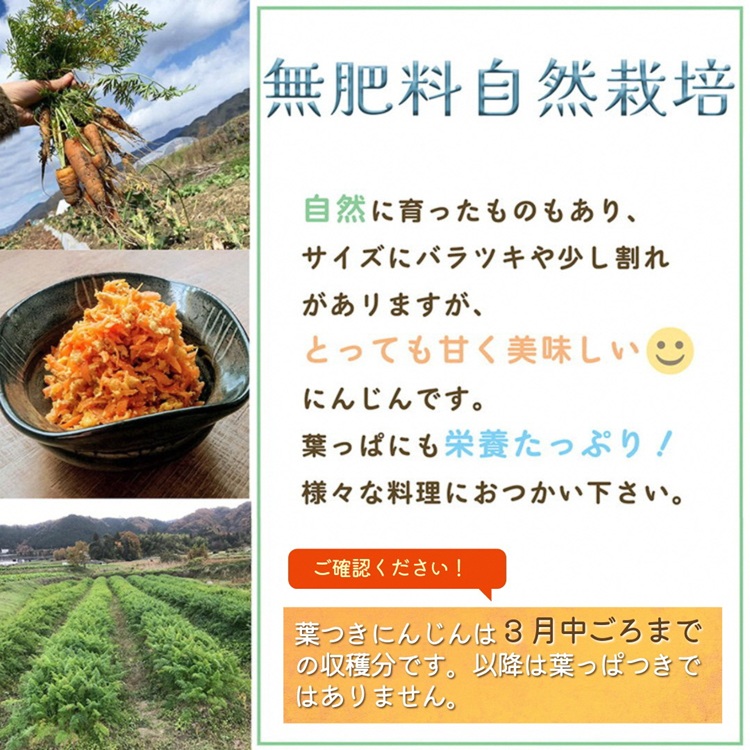 人参 4kg【期間限定】自然栽培の甘い 葉付き人参 京都府・亀岡産 かたもとオーガニックファームよりお届け 《訳あり サイズ不揃い にんじん 国産 京都産 栽培期間中農薬不使用 産地直送》 ※2025