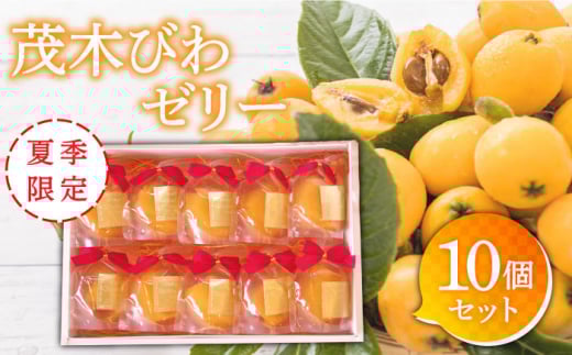 【2025年5月上旬〜発送】【夏季限定】茂木びわ ゼリー 10個入 / びわ ビワ ゼリー フルーツ 果物 ギフト 贈答 お中元 / 南島原市 / 本田屋かすてら本舗 [SAW040]