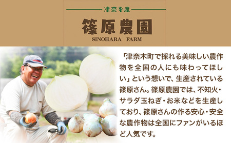 訳あり 栽培期間中 農薬不使用 サラダ玉ねぎ (S-2Lサイズ)  10kg《2月中旬-3月下旬頃出荷》熊本県 葦北郡 津奈木町 篠原農園 野菜 玉ねぎ たまねぎ 自然栽培 大小サイズ混合 ちょっと訳