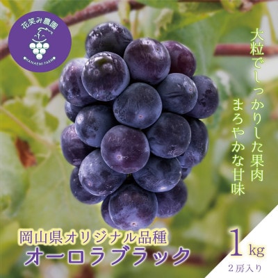 岡山　花笑み農園のブドウ『オーロラブラック』1kg(2房)　A-1【9月上旬～順次発送】【配送不可地域：離島】【1628324】