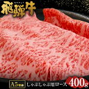 【ふるさと納税】 飛騨牛 A5 等級 しゃぶしゃぶ 用（ ロース 400g）| 肉のかた山 牛肉 送料無料 M22S37