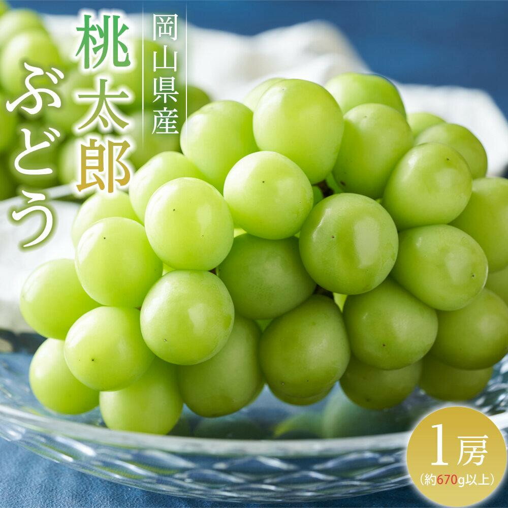 【ふるさと納税】【選べる内容量】ぶどう 2026年 桃太郎ぶどうブドウ 葡萄 岡山県産 国産 フルーツ 果物 ギフト | フルーツ 果物 くだもの 食品 人気 おすすめ 送料無料