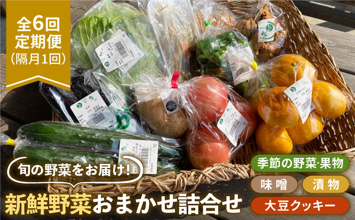 【全6回定期便】【隔月発送】新鮮野菜・加工品 おまかせ詰め合わせ【だいちの家】 [HAG017]