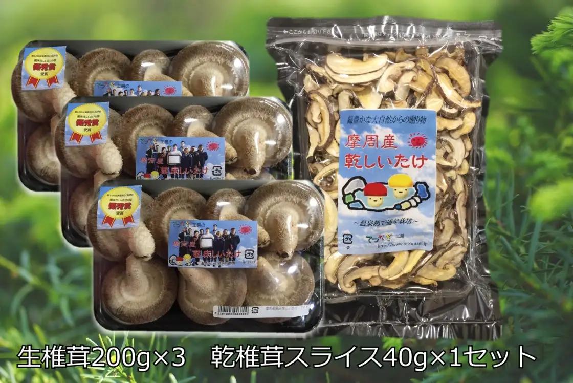 生しいたけ、乾しいたけセット 143