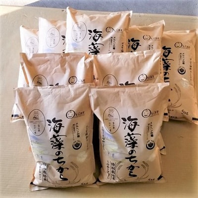 
            2023年9月発送開始『定期便』ミルキークイーン(海藻のちから)5kg×10ヶ月連続　全10回【5147655】
          