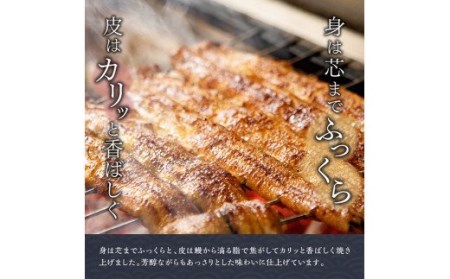 【名店の味！宮崎県産鰻】 ひむか山道うなぎ蒲焼６尾分（780ｇ以上） うなぎ 蒲焼