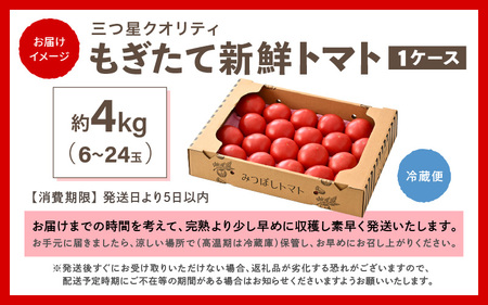 新鮮トマト 1ケース 約4㎏ (16～24玉入) ～三つ星クオリティ☆坂井の大自然が育てた、もぎたて新鮮トマト～【とまと トマト 野菜 生野菜 新鮮 リコピン ビタミン ダイエット 美容 美肌 産地直