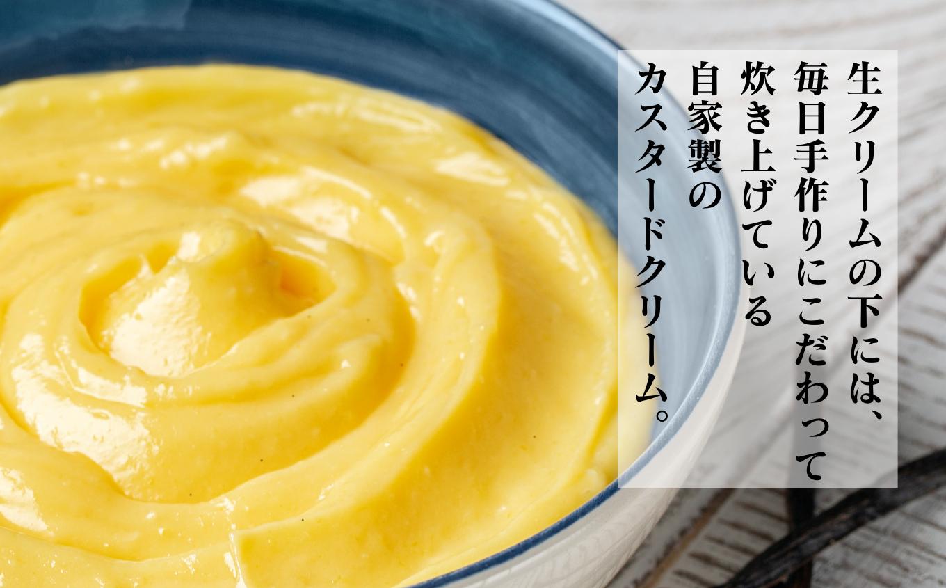 カスタード×生クリーム！2層の生シュークリーム10個入り【ル・エムズ】