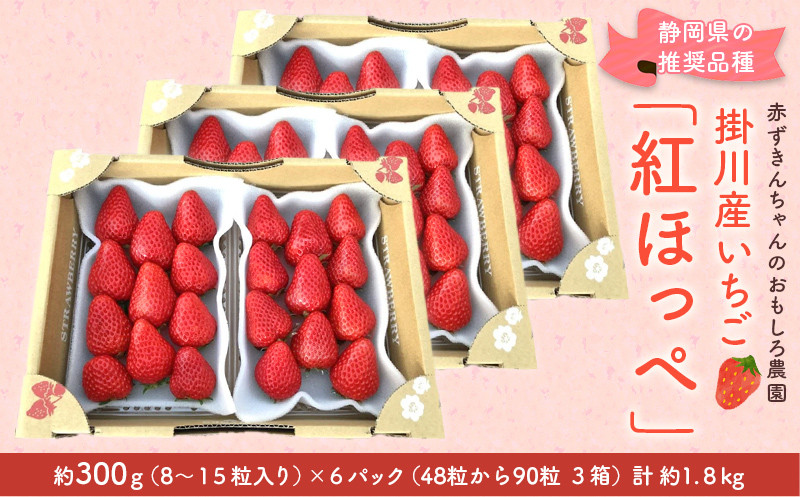 
１７５６　掛川産いちご 紅ほっぺ 約300g×６パック 計1.８ｋｇ ※発送時期をお選び下さい ①３月からの発送 ②４月からの発送 ③５月からの発送 赤ずきんちゃんのおもしろ農園 ( 静岡 イチゴ 苺 いちご 紅ほっぺ べにほっぺ 人気 甘い たっぷり ボリューム 3月発送 4月発送 5月発送 掛川市 ）
