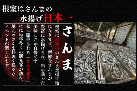 【北海道根室産】さんま混ぜ飯の素2合用×10箱 B-50018